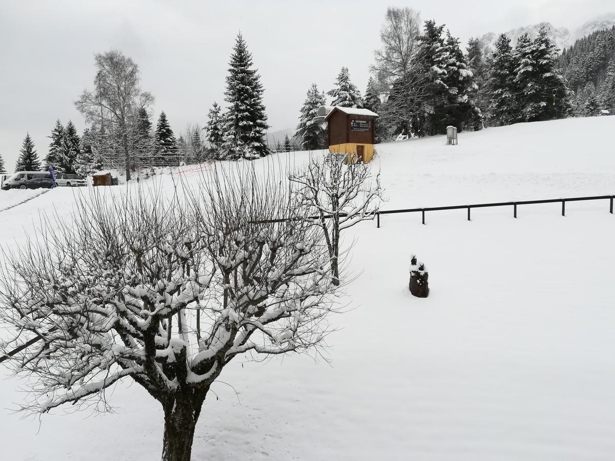 Romantic Chalet-Style Flat With Mountain View Torgon Buitenkant foto